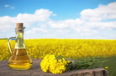 Rapeseed  Oil