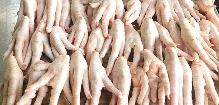 Chicken - Feet & Paw