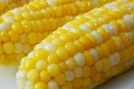 Corn