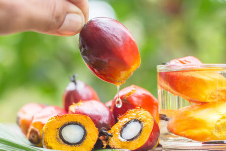 Palm Oil