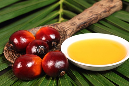 Palm Oil