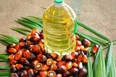 Palm Oil
