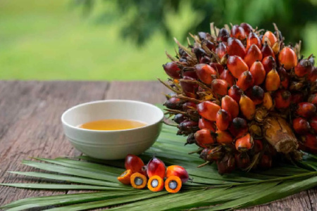 Palm Oil