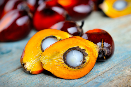 Palm Oil