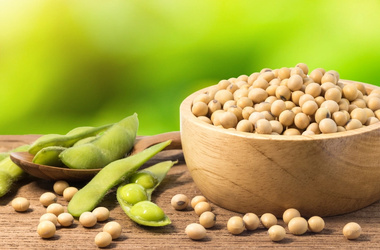 Soybean