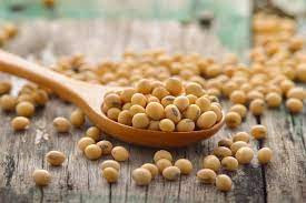 Soybean