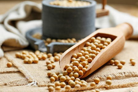 Soybean