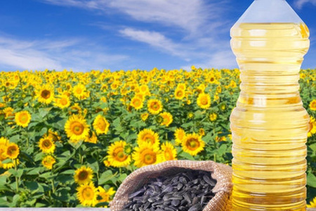 Sunflower Seed