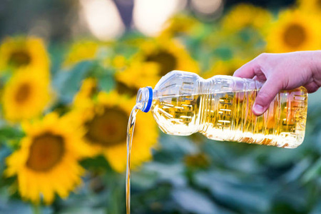 Sunflower Seed