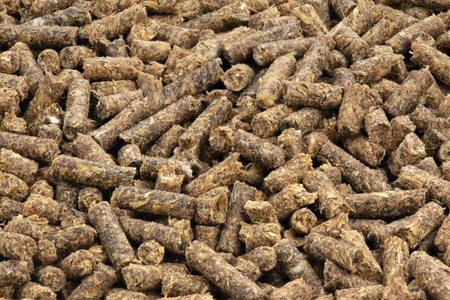 Sunflower Meal