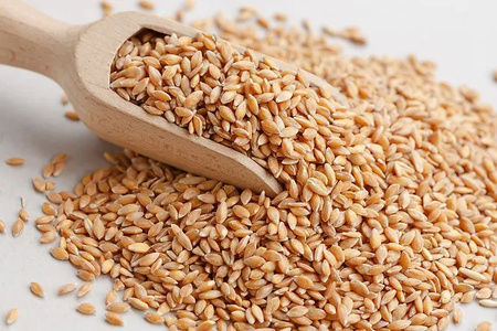 Wheat