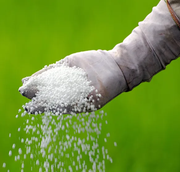 UREA 46